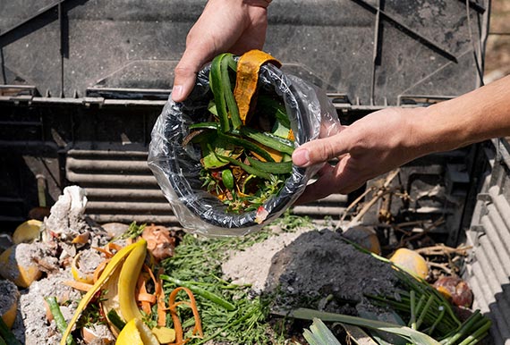 動植物性残さ